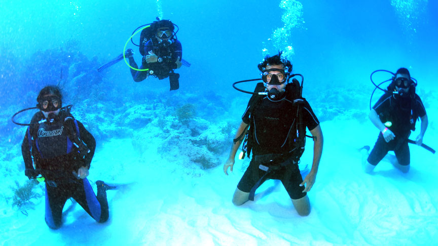 Picture of Open Water Diver