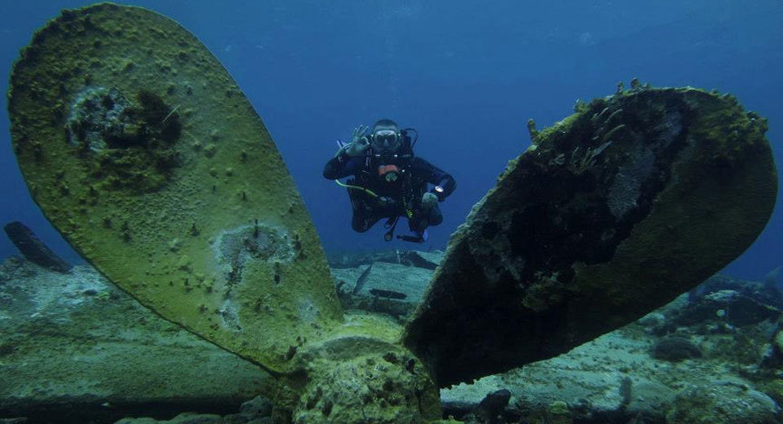 Picture of The wrecks