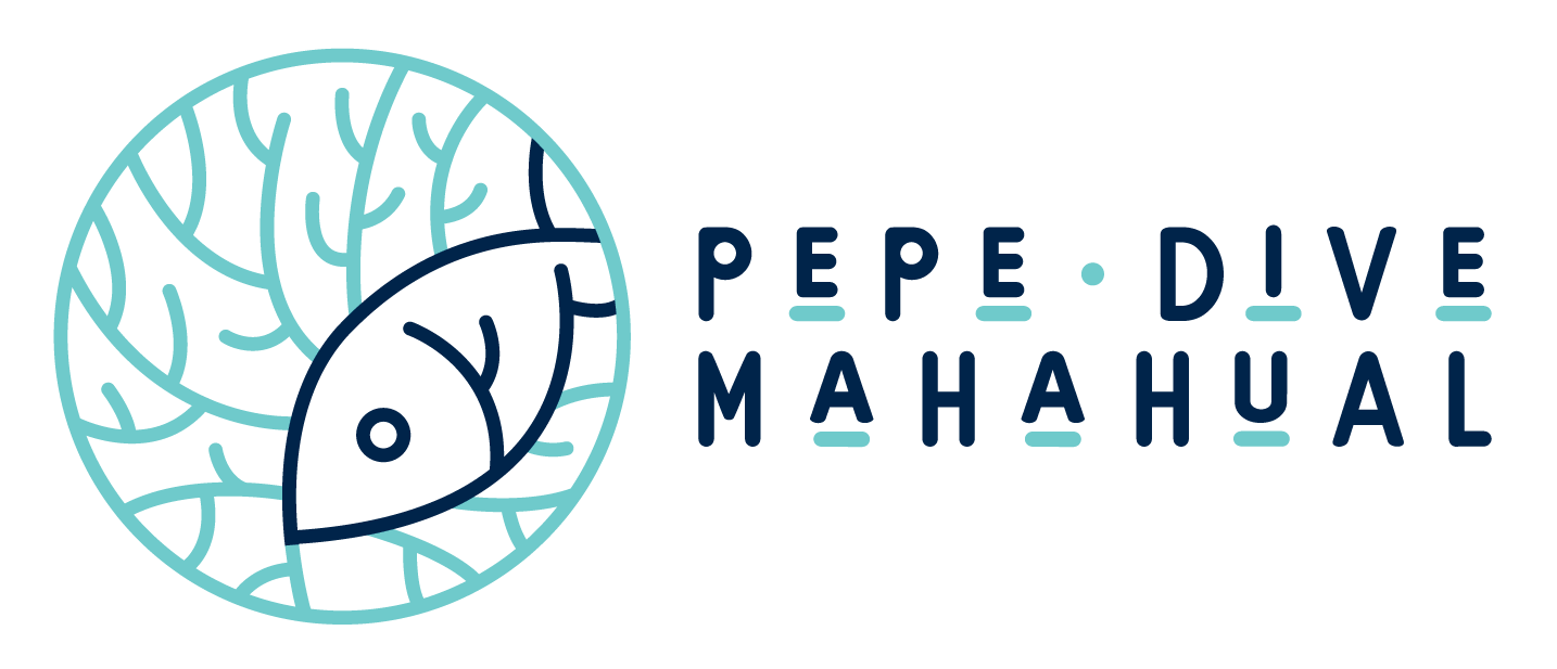 www.pepedivemahual.com
